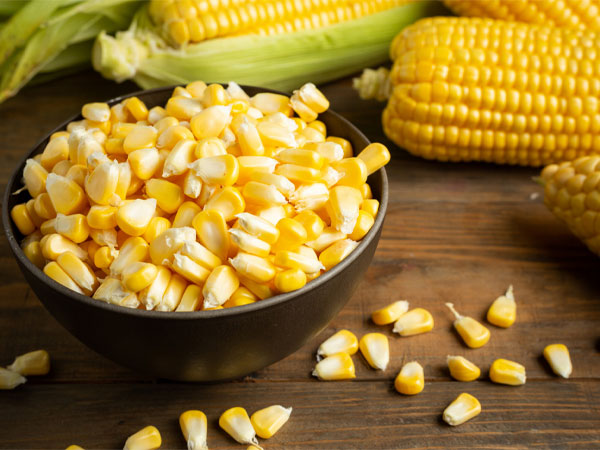 Corn Processing